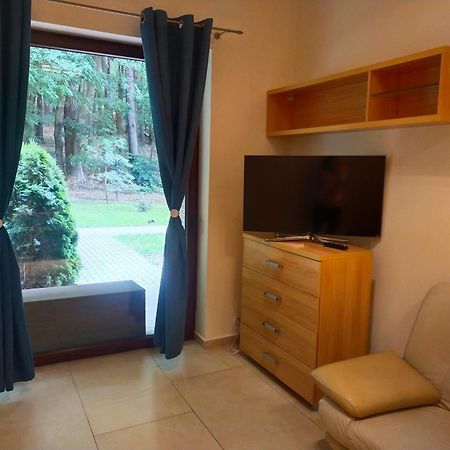 Apartament Przy Parku Wisełka Dış mekan fotoğraf